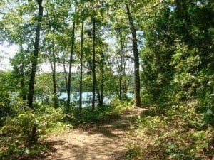 trail-around-the-lake