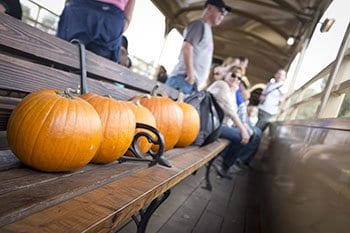 pumpkintrain_01