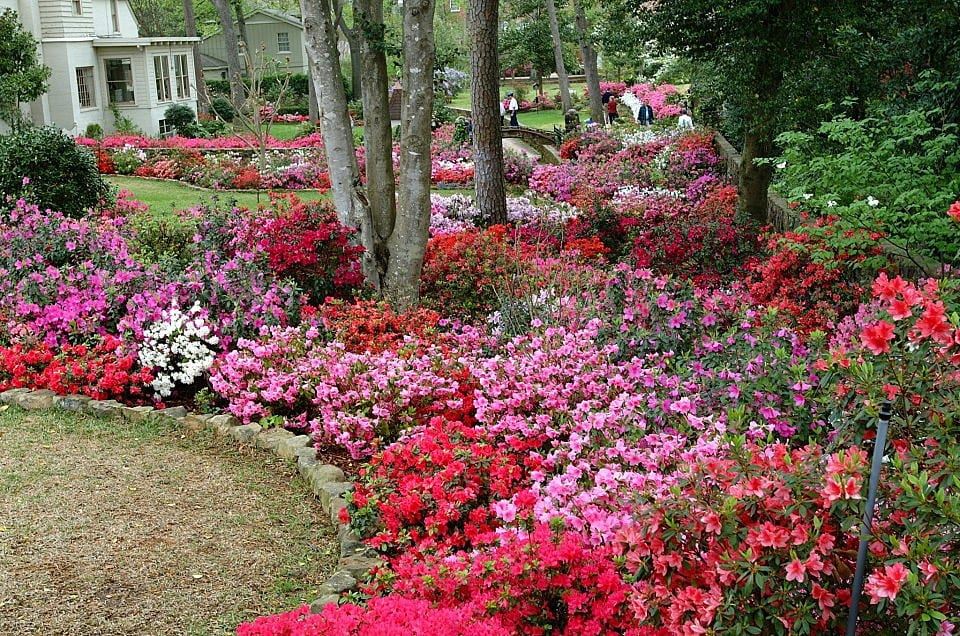 azalea trails nursing home tyler tx