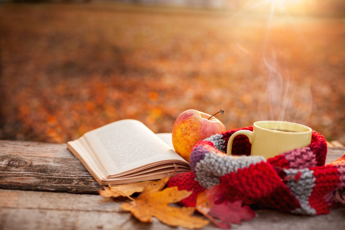 Tea mug with warm scarf open book and apple