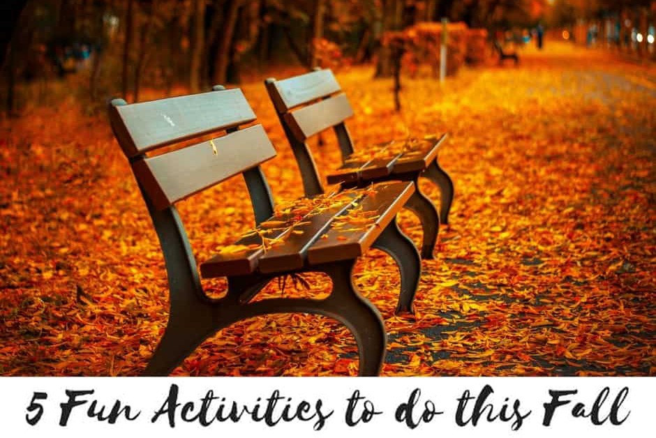 5-Fun-Activities-to-do-this-Fall-in-Ptyler east tx