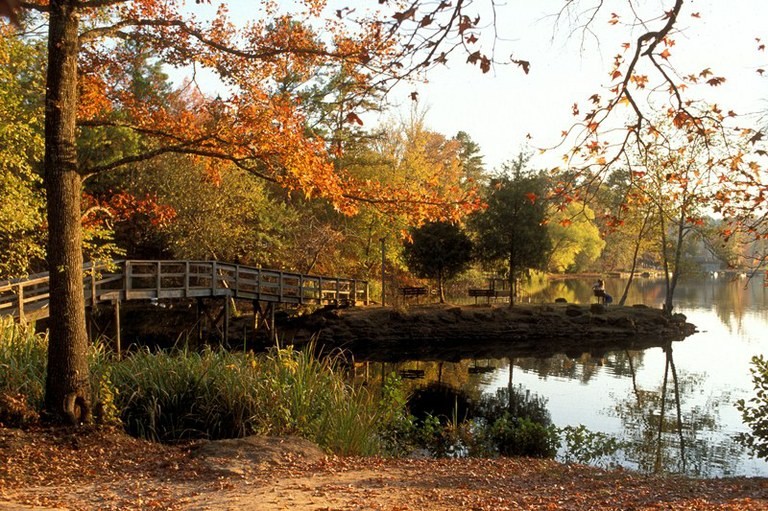 East-Texas fall leaves drives tyler tx foilage pumpkin patch