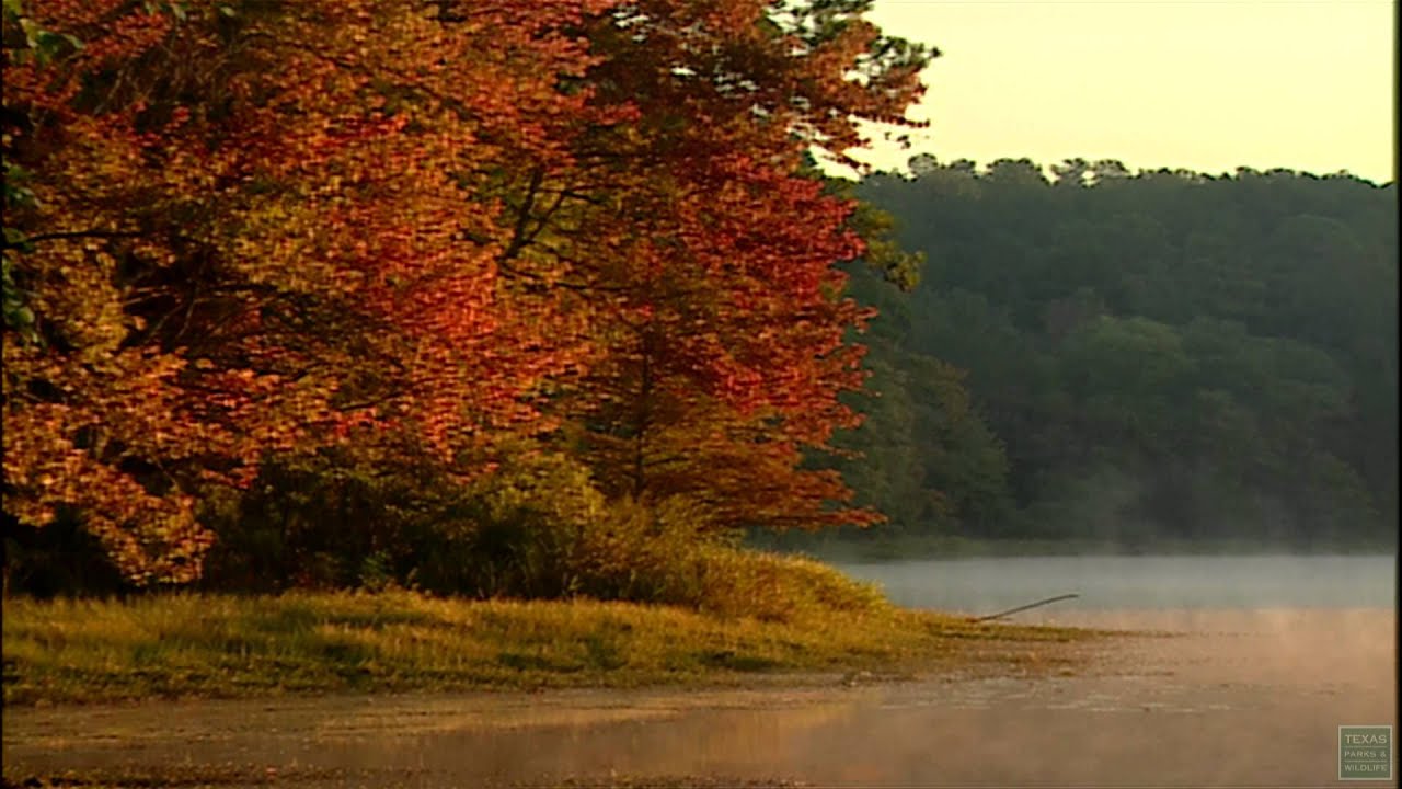 Fall eguide East-Texas-fall-leaves-drives-tyler-tx-foilage-pumpkin 324525