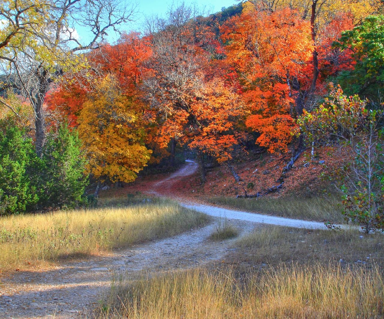 Fall eguide East-Texas-fall-leaves-drives-tyler-tx-foilage-pumpkin 4d7c8_o-2
