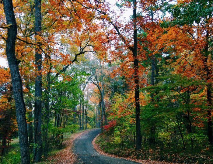 Fall eguide East-Texas-fall-leaves-drives-tyler-tx-foilage-pumpkin 700x700