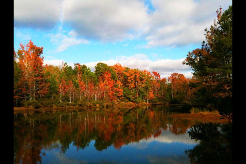 Fall eguide East-Texas-fall-leaves-drives-tyler-tx-foilage-pumpkin e62d758aa