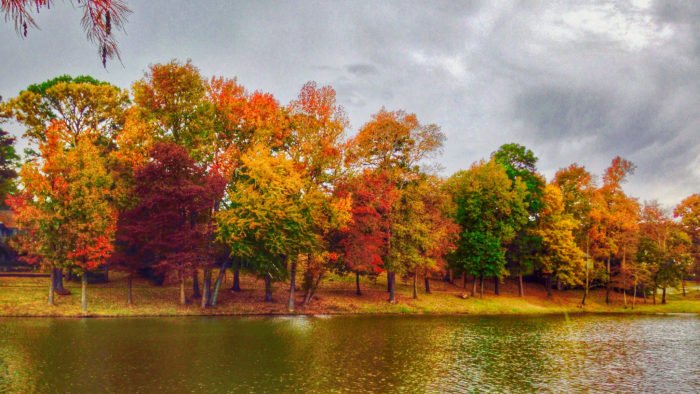 Fall eguide East-Texas-fall-leaves-drives-tyler-tx-foilage-pumpkin x394