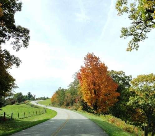 fall-leaves-east-texas-Fall eguide East-Texas-fall-leaves-drives-tyler-tx-foilage-pumpkin